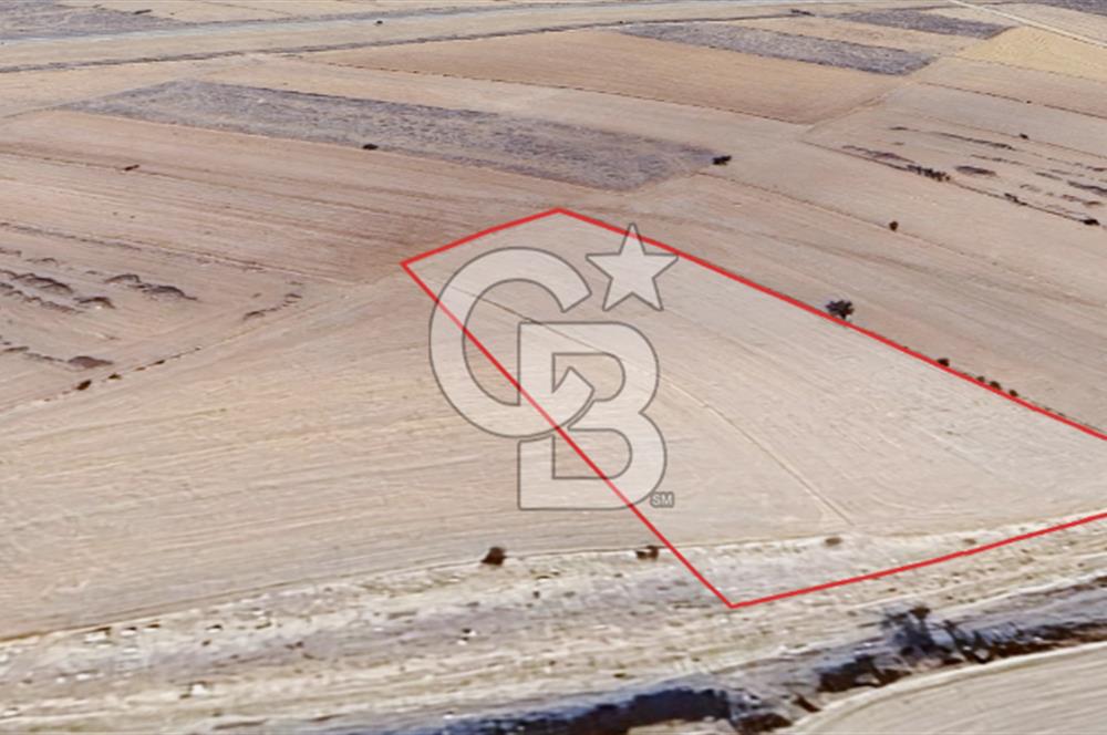 KORKUTELİ BOZOVA SATILIK TARLA