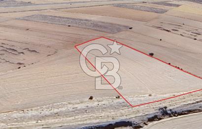 KORKUTELİ BOZOVA SATILIK TARLA