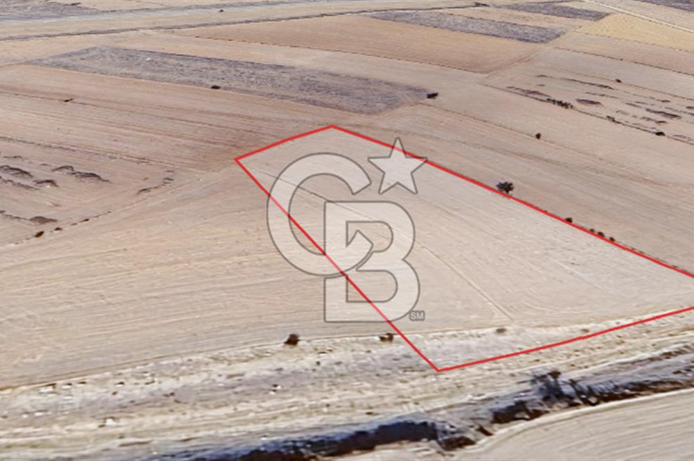 KORKUTELİ BOZOVA SATILIK TARLA