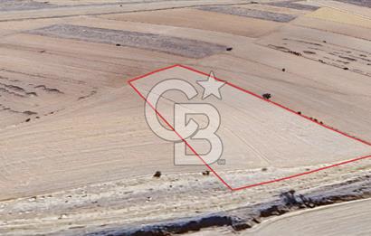 KORKUTELİ BOZOVA SATILIK TARLA