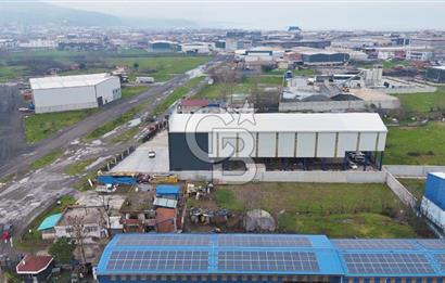 Samsun'da Satılık Sanayi Arsası: 7000m² İnşaat Alanı