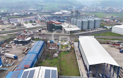 Samsun'da Satılık Sanayi Arsası: 7000m² İnşaat Alanı
