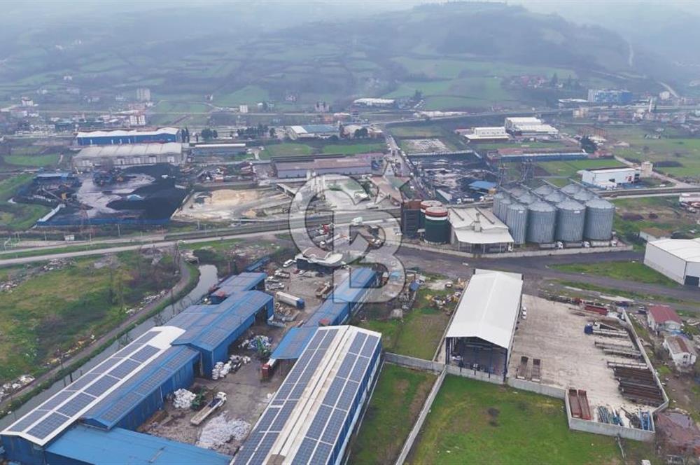 Samsun'da Satılık Sanayi Arsası: 7000m² İnşaat Alanı