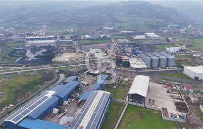 Samsun'da Satılık Sanayi Arsası: 7000m² İnşaat Alanı