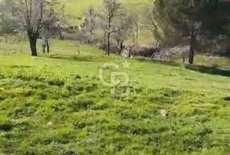 ÇANAKKALE BAYRAMİÇ KARINCALIK KÖY İÇİ İMARLI SATILIK ARSA - 1 - 339085