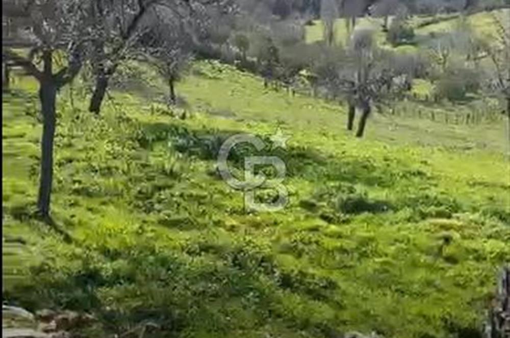 ÇANAKKALE BAYRAMİÇ KARINCALIK KÖY İÇİ İMARLI SATILIK ARSA