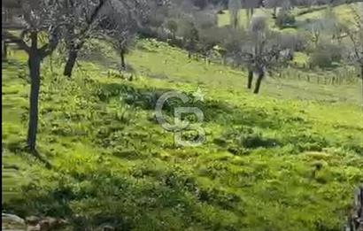 ÇANAKKALE BAYRAMİÇ KARINCALIK KÖY İÇİ İMARLI SATILIK ARSA