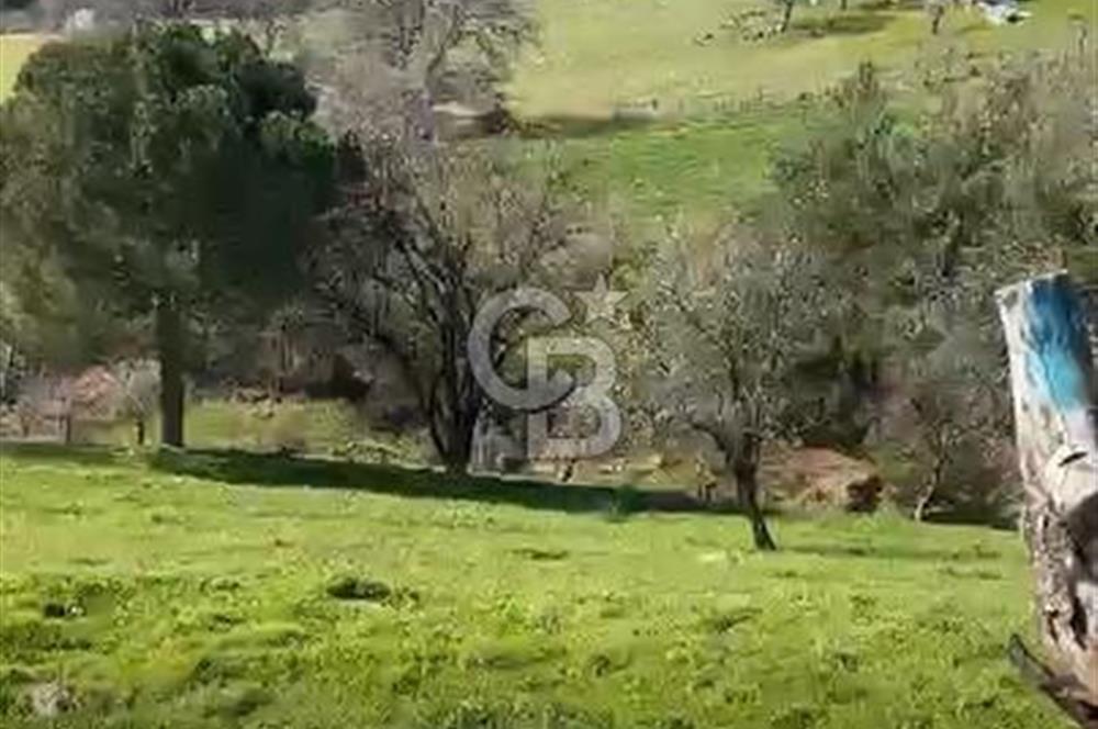 ÇANAKKALE BAYRAMİÇ KARINCALIK KÖY İÇİ İMARLI SATILIK ARSA