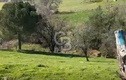 ÇANAKKALE BAYRAMİÇ KARINCALIK KÖY İÇİ İMARLI SATILIK ARSA