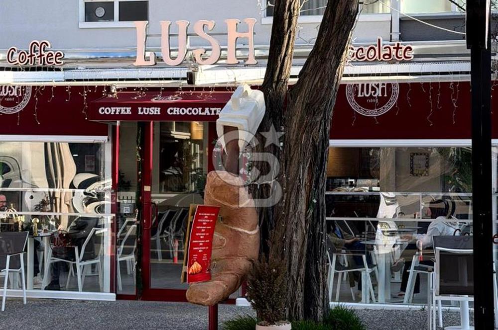 BAHÇELİ EVLER 35. CADDE (3.CADDE) DEVREN KİRALIK ANAHTAR TESLİM KAFE