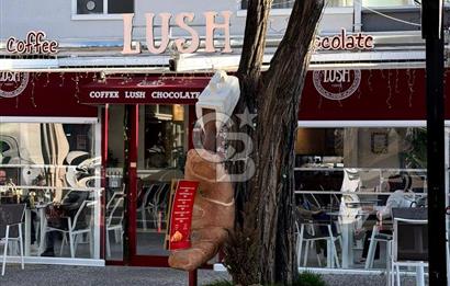 BAHÇELİ EVLER 35. CADDE (3.CADDE) DEVREN KİRALIK ANAHTAR TESLİM KAFE