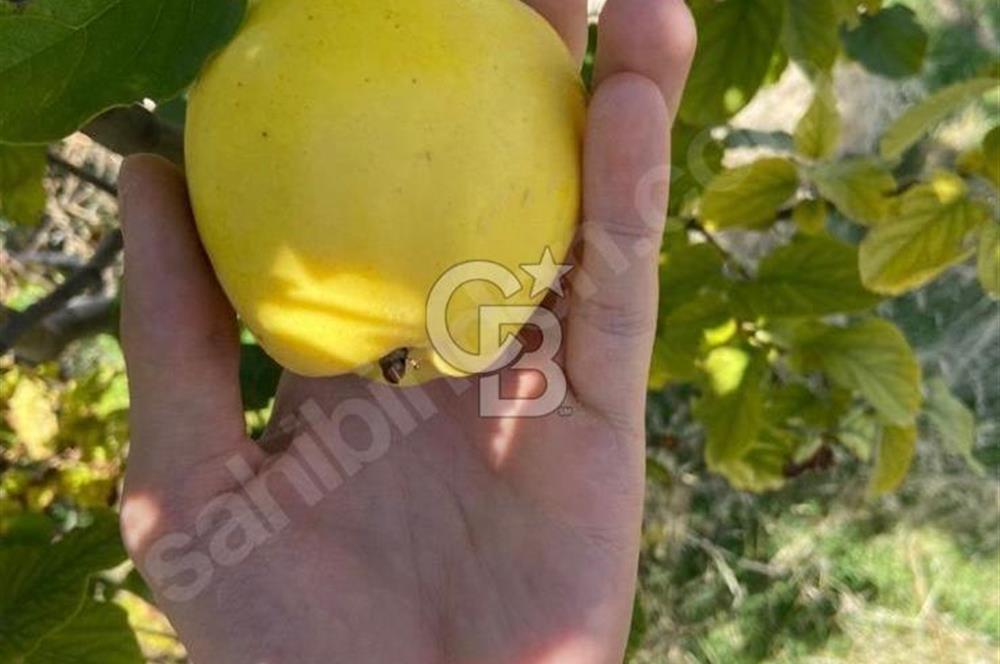 Gölbaşı Karaali Yazlık Mahallesi’nde 2314 m² Villa İmarlı Arsa