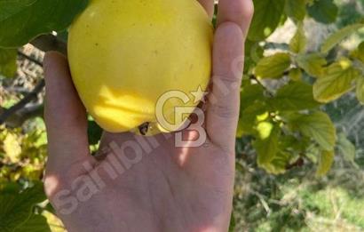 Gölbaşı Karaali Yazlık Mahallesi’nde 2314 m² Villa İmarlı Arsa