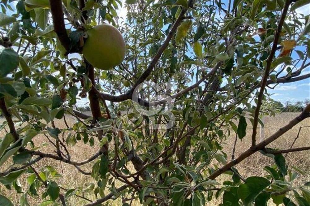 Gölbaşı Karaali Yazlık Mahallesi’nde 2314 m² Villa İmarlı Arsa