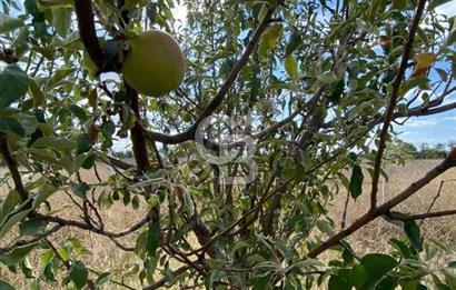 Gölbaşı Karaali Yazlık Mahallesi’nde 2314 m² Villa İmarlı Arsa