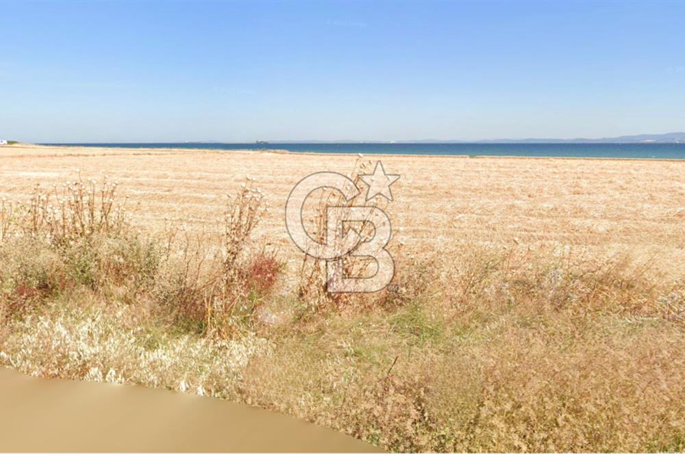 Çanakkale,Gelibolu,Demirtepe köyünde 434,63 m2 tarla