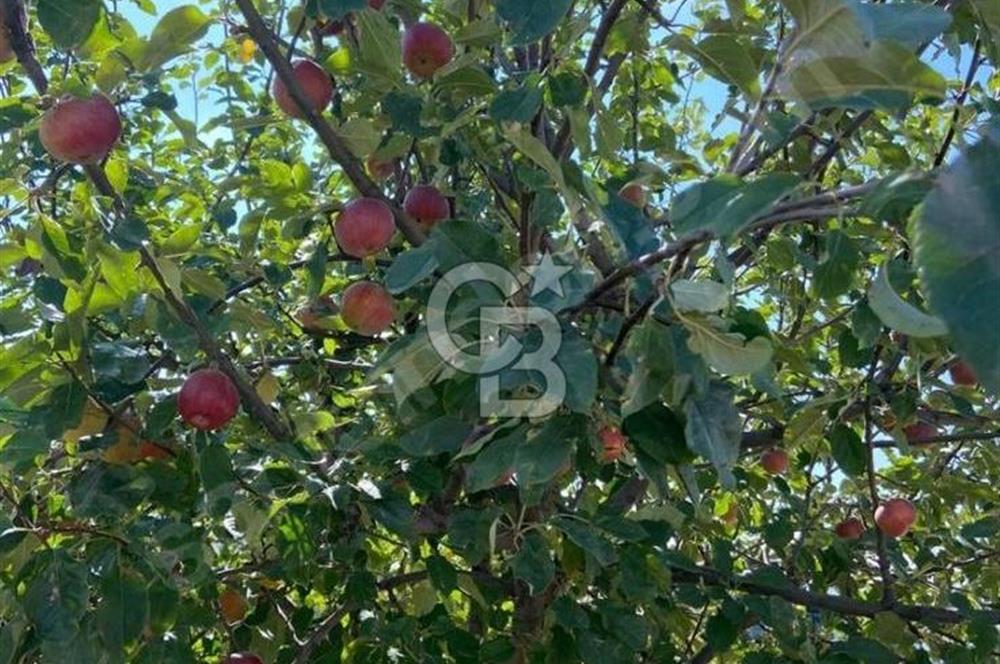 Gölbaşı Karaali Yazlık Mahallesi’nde 2314 m² Villa İmarlı Arsa