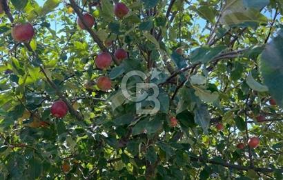 Gölbaşı Karaali Yazlık Mahallesi’nde 2314 m² Villa İmarlı Arsa