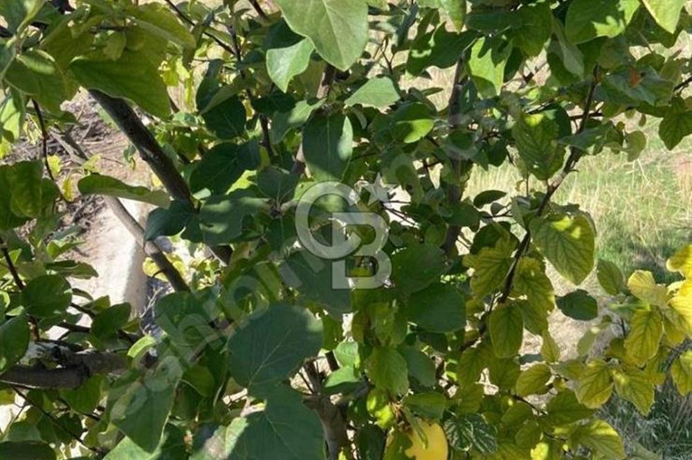 Gölbaşı Karaali Yazlık Mahallesi’nde 2314 m² Villa İmarlı Arsa