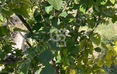 Gölbaşı Karaali Yazlık Mahallesi’nde 2314 m² Villa İmarlı Arsa