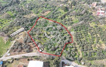 Bayraklı, Doğançay Mah., 1.061 m2 Satılık Tarla