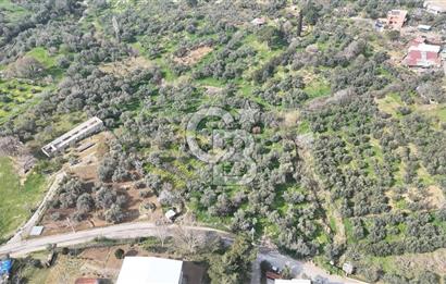 Bayraklı, Doğançay Mah., 1.061 m2 Satılık Tarla