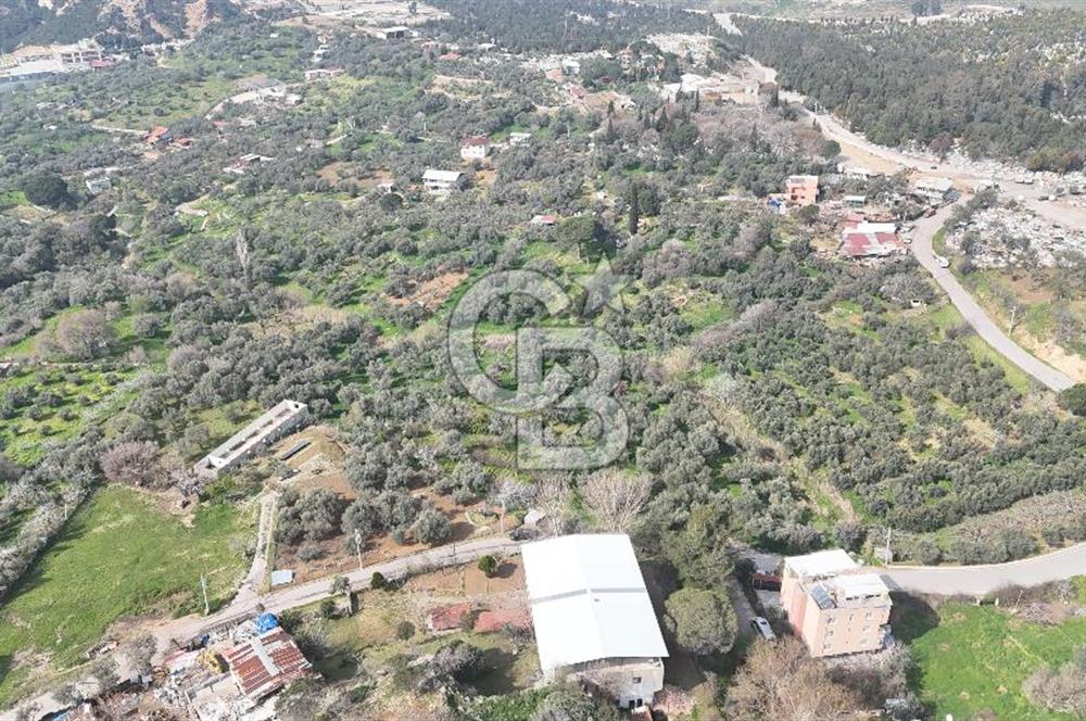 Bayraklı, Doğançay Mah., 1.061 m2 Satılık Tarla