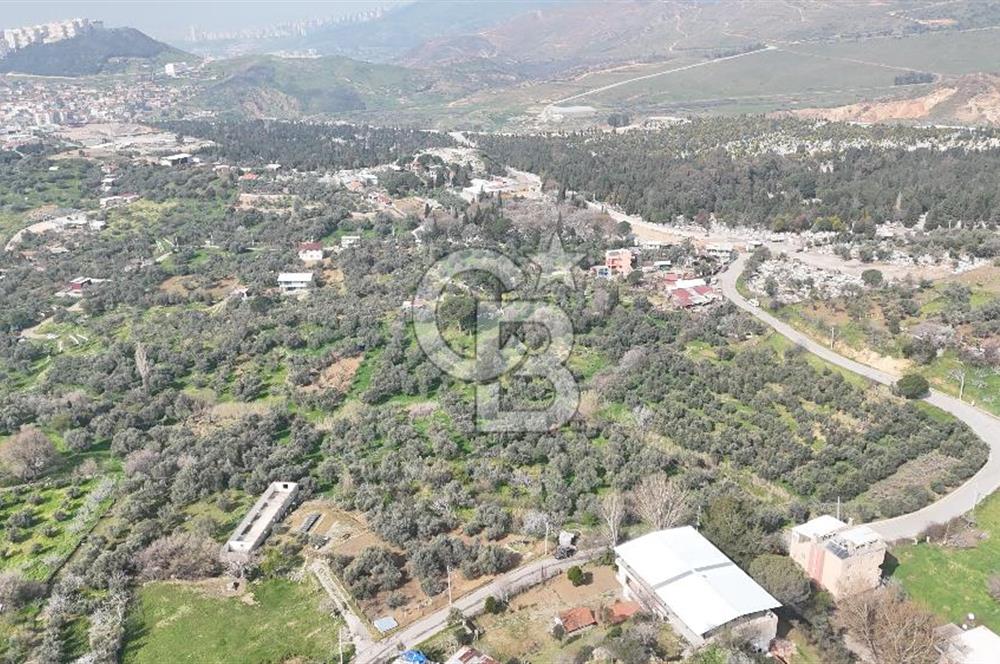 Bayraklı, Doğançay Mah., 1.061 m2 Satılık Tarla