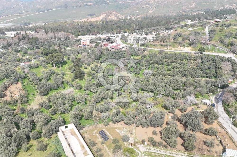 Bayraklı, Doğançay Mah., 1.061 m2 Satılık Tarla