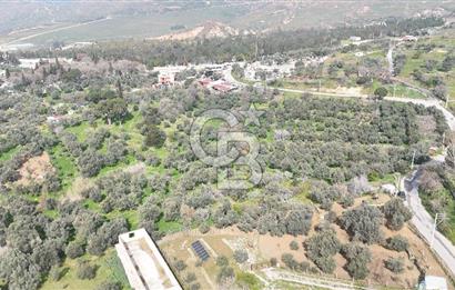 Bayraklı, Doğançay Mah., 1.061 m2 Satılık Tarla