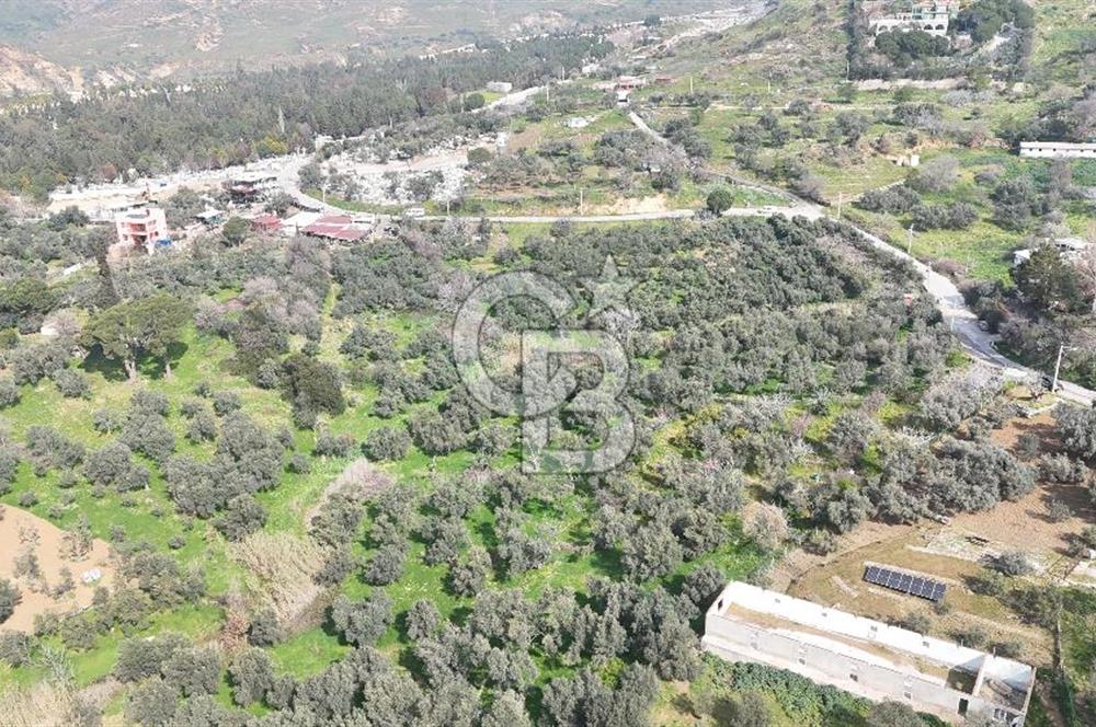 Bayraklı, Doğançay Mah., 1.061 m2 Satılık Tarla