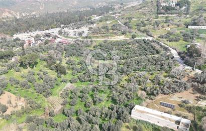 Bayraklı, Doğançay Mah., 1.061 m2 Satılık Tarla