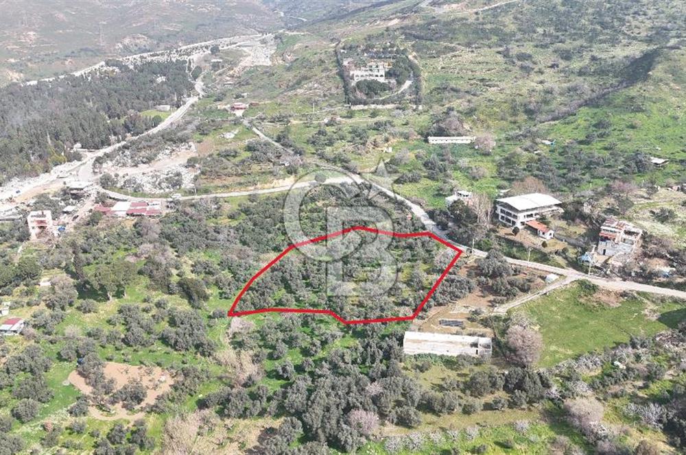 Bayraklı, Doğançay Mah., 1.061 m2 Satılık Tarla