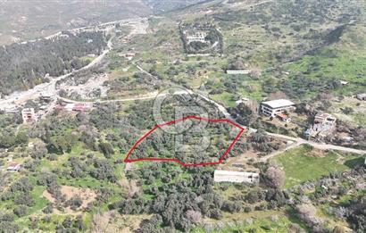 Bayraklı, Doğançay Mah., 1.061 m2 Satılık Tarla