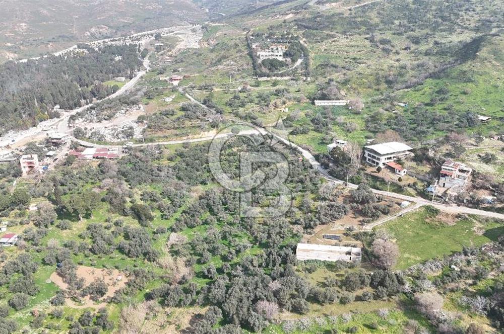 Bayraklı, Doğançay Mah., 1.061 m2 Satılık Tarla