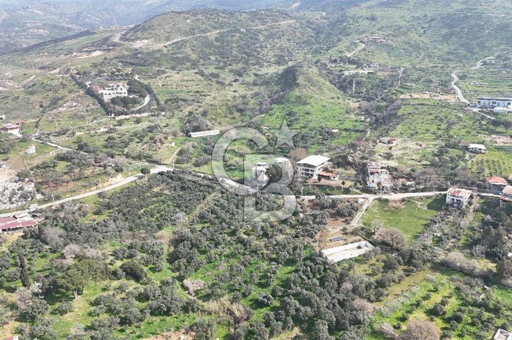 Bayraklı, Doğançay Mah., 1.061 m2 Satılık Tarla