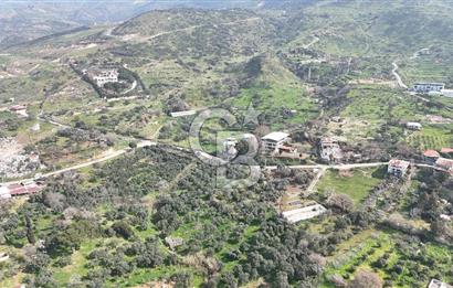 Bayraklı, Doğançay Mah., 1.061 m2 Satılık Tarla