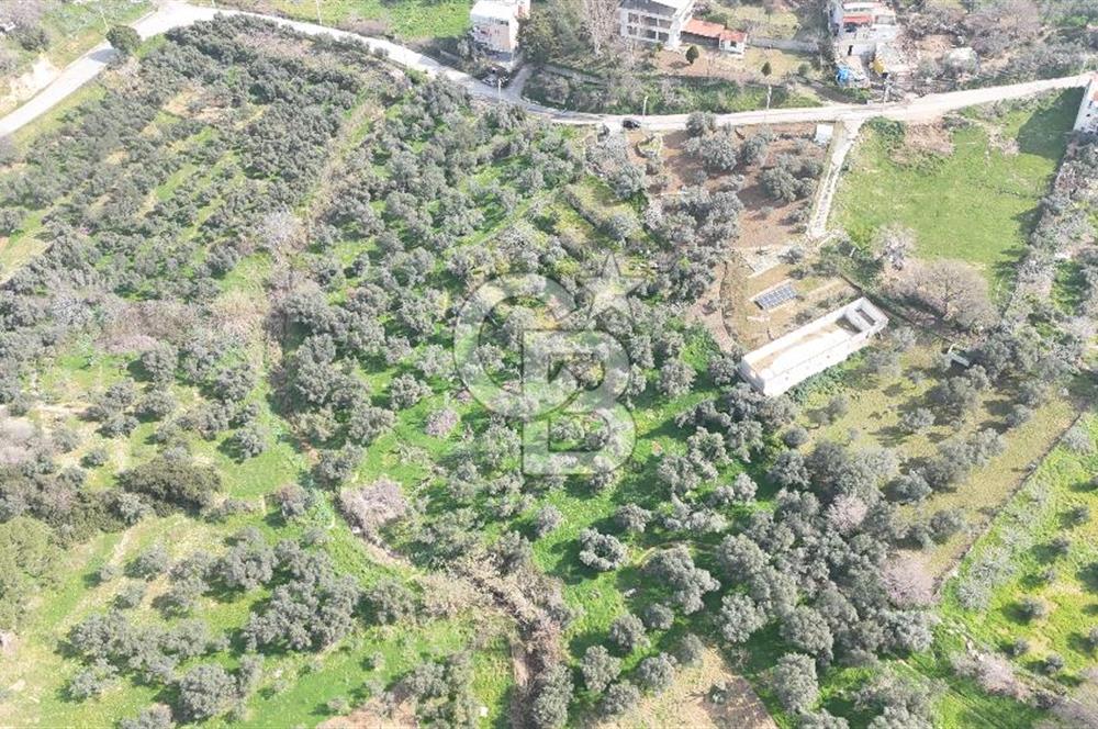 Bayraklı, Doğançay Mah., 1.061 m2 Satılık Tarla