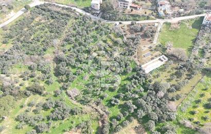 Bayraklı, Doğançay Mah., 1.061 m2 Satılık Tarla