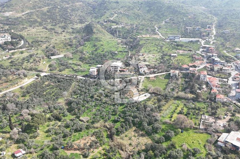 Bayraklı, Doğançay Mah., 1.061 m2 Satılık Tarla