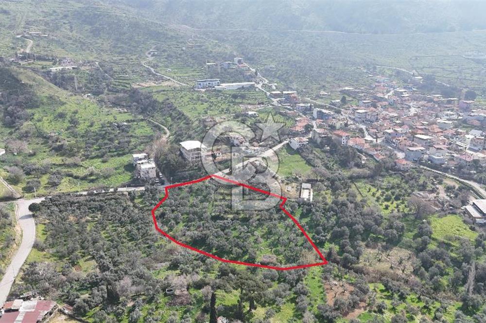 Bayraklı, Doğançay Mah., 1.061 m2 Satılık Tarla