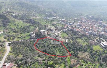 Bayraklı, Doğançay Mah., 1.061 m2 Satılık Tarla