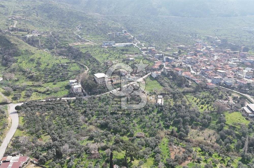 Bayraklı, Doğançay Mah., 1.061 m2 Satılık Tarla