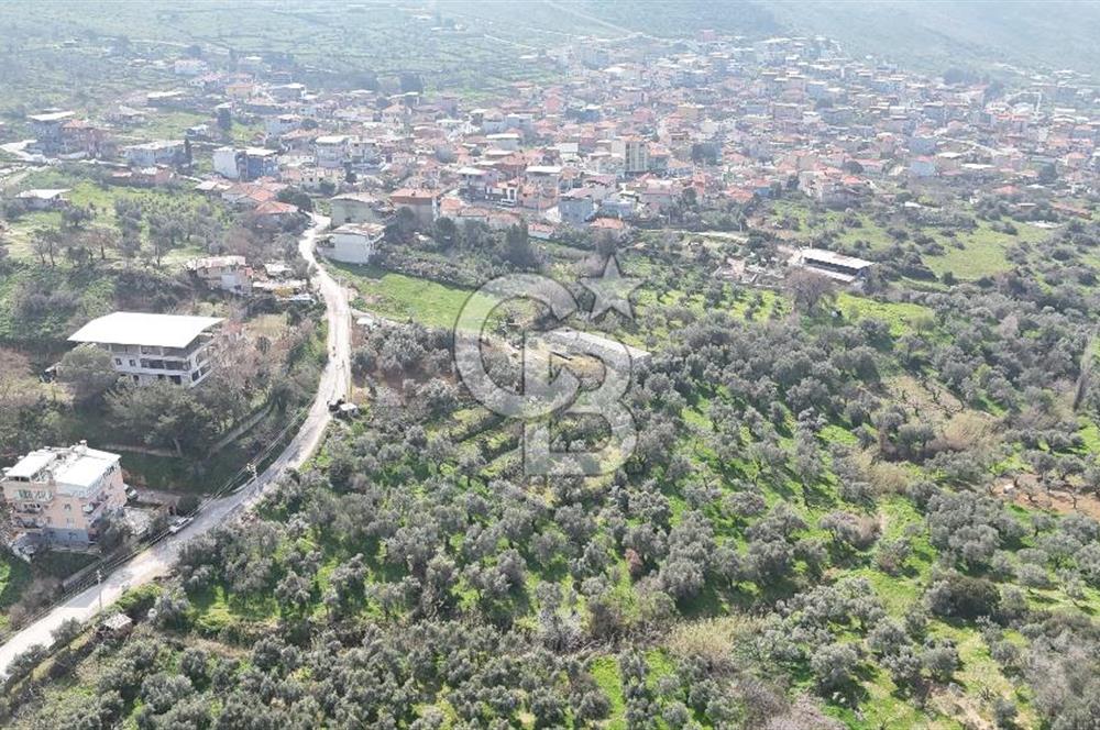 Bayraklı, Doğançay Mah., 1.061 m2 Satılık Tarla