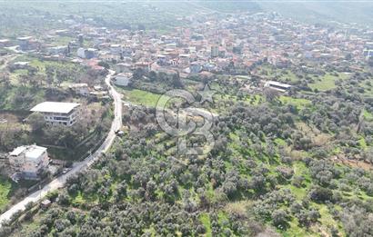 Bayraklı, Doğançay Mah., 1.061 m2 Satılık Tarla