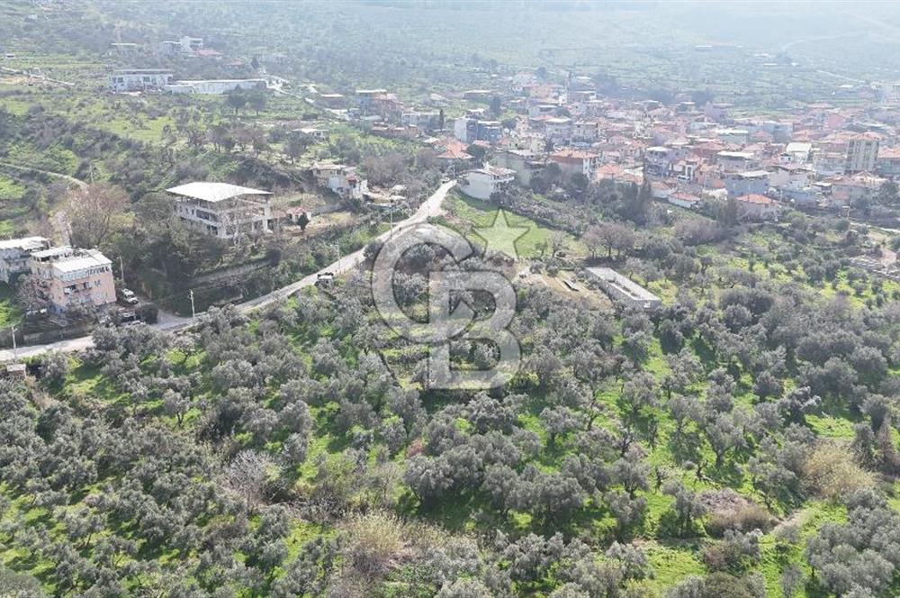 Bayraklı, Doğançay Mah., 1.061 m2 Satılık Tarla