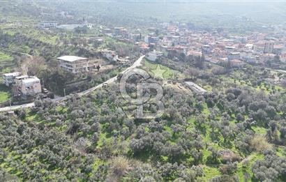 Bayraklı, Doğançay Mah., 1.061 m2 Satılık Tarla