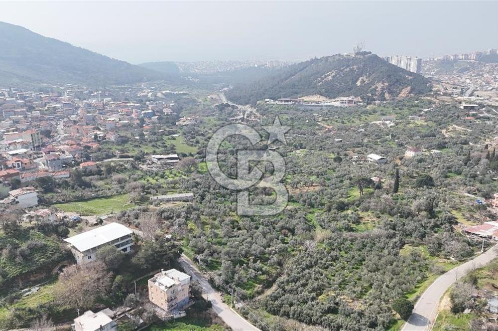 Bayraklı, Doğançay Mah., 1.061 m2 Satılık Tarla