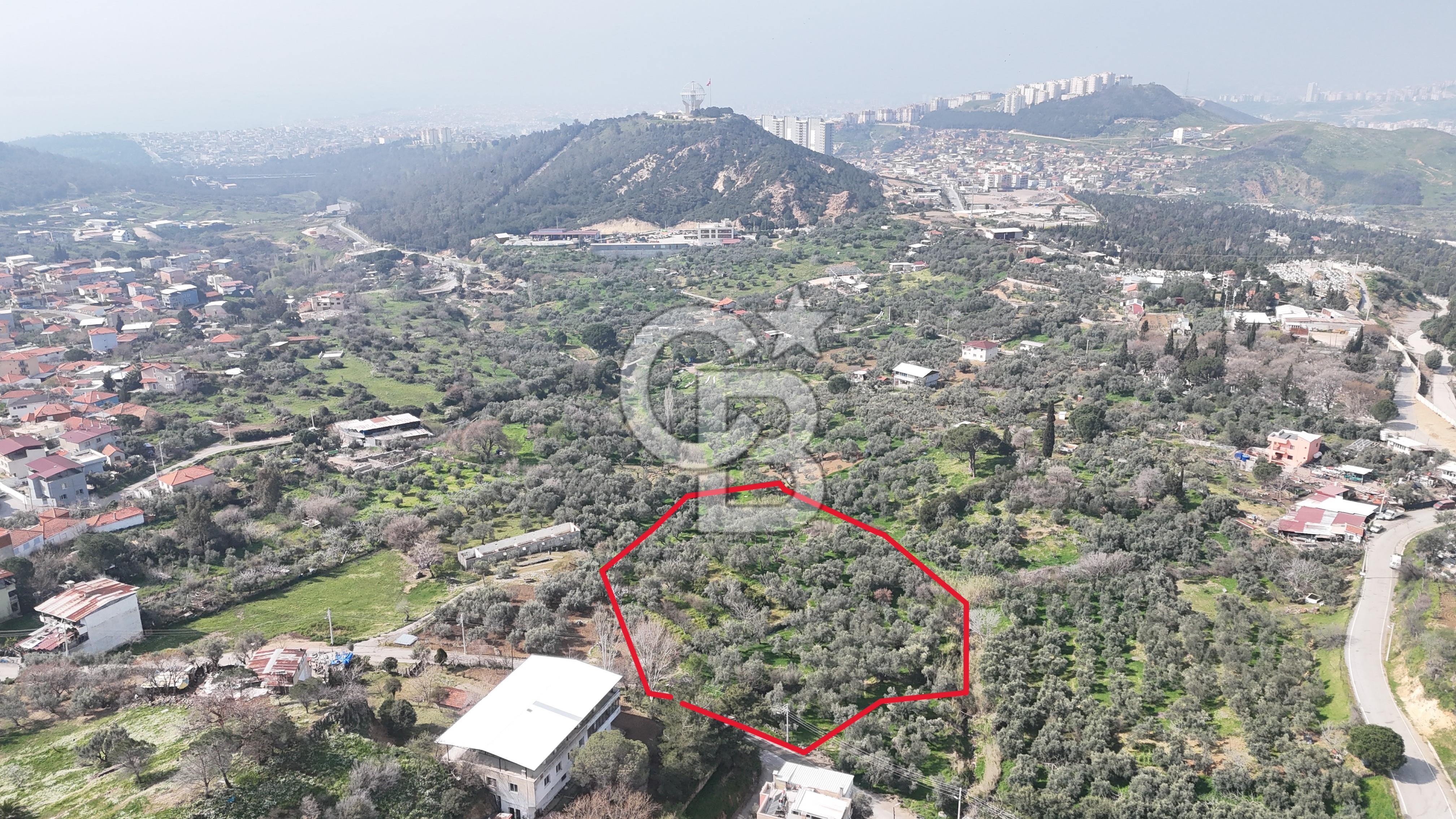 Bayraklı, Doğançay Mah., 1.061 m2 Satılık Tarla
