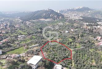 Bayraklı, Doğançay Mah., 1.061 m2 Satılık Tarla - 3 - 339375